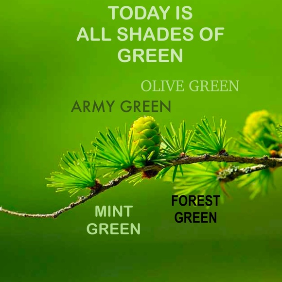 💚💚 GREEN MONDAY 💚💚 SIGN IN DAILY CHANGING COLOR - Picture 1 of 15